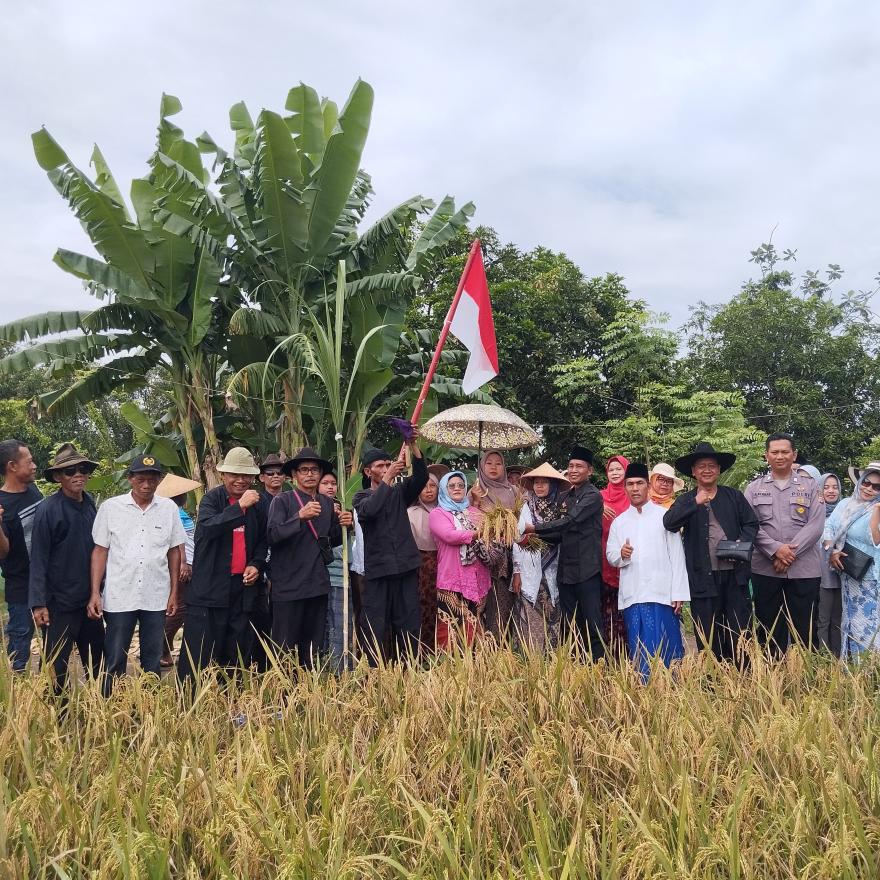 ACARA ADAT MAPAG SRI DESA BONDAN